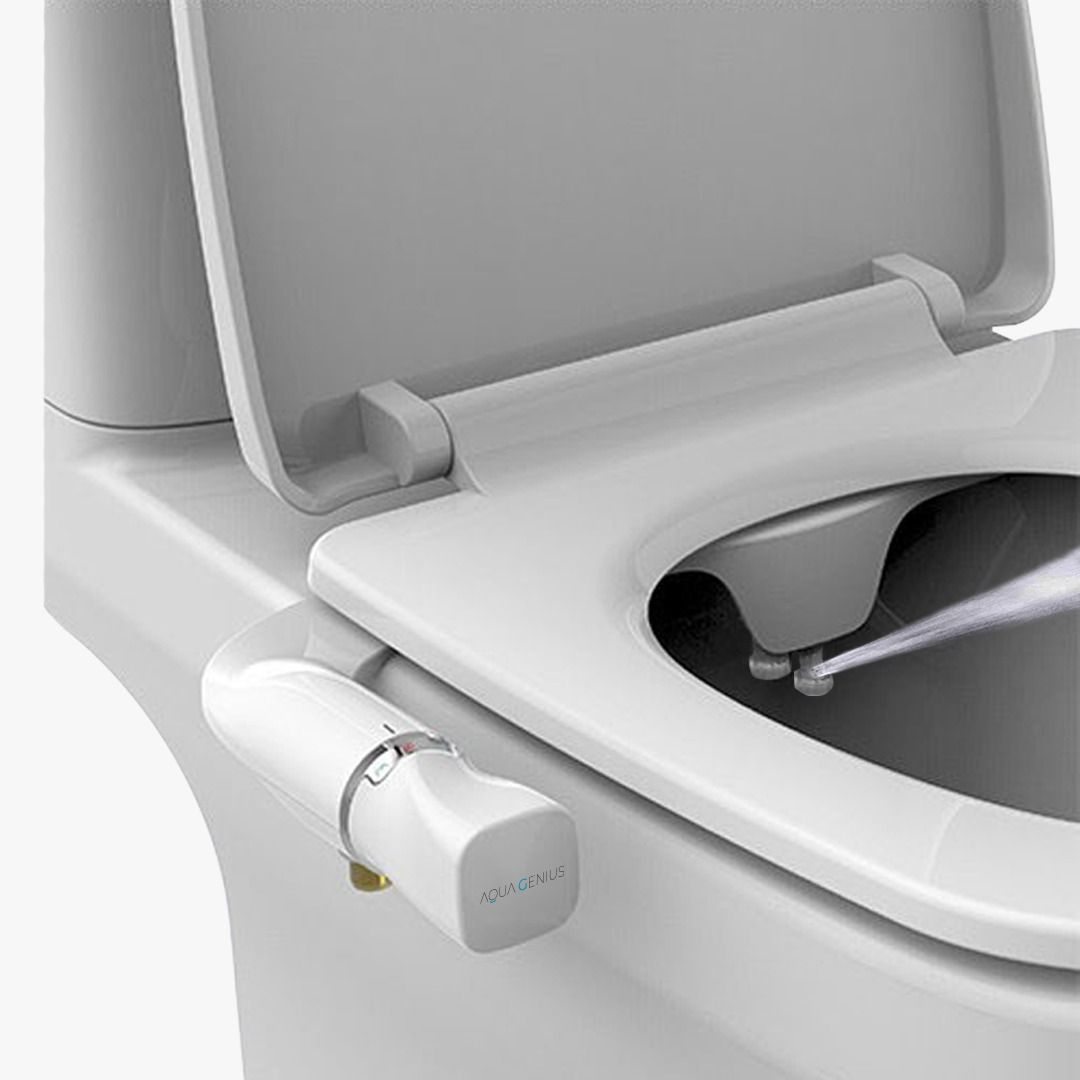 Ebidet - Imagen 10